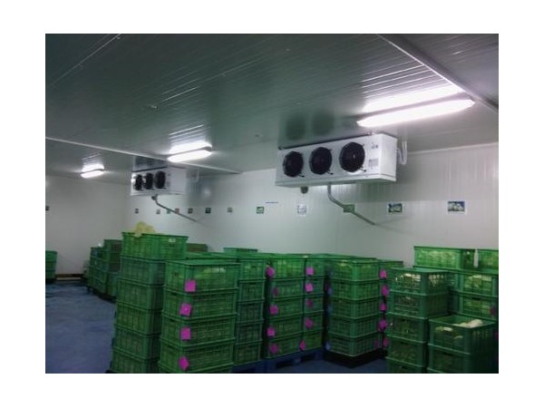 淺談恒溫果蔬冷庫環境監測系統設計